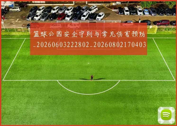 篮球公园安全守则与常见伤害预防_20260603222802_20260802170403